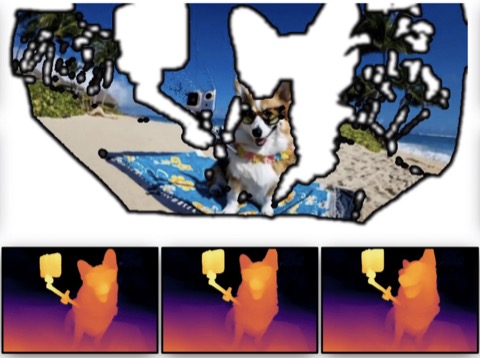 Dynamic View Synthesis as an Inverse Problem teaser figure